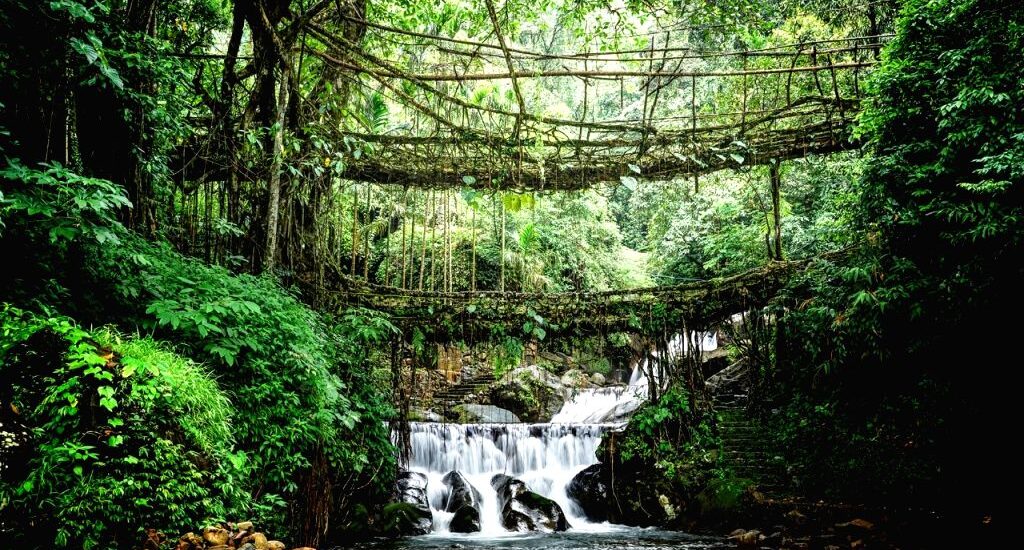 Meghalaya Tour from Siliguri: The Abode of Clouds