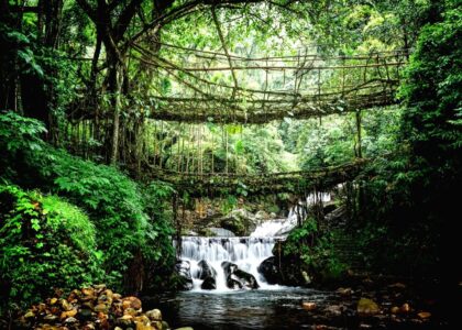 Meghalaya Tour from Siliguri: The Abode of Clouds