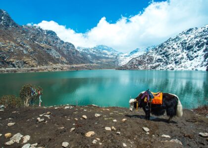 Tsomgo Lake Sikkim surrounded by snow