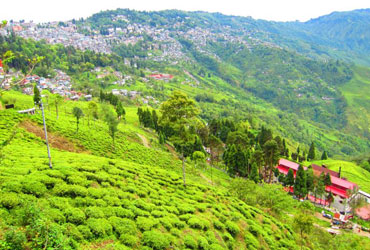 Major points of attraction in Darjeeling