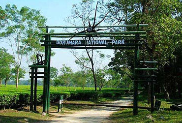 Gorumara National Park