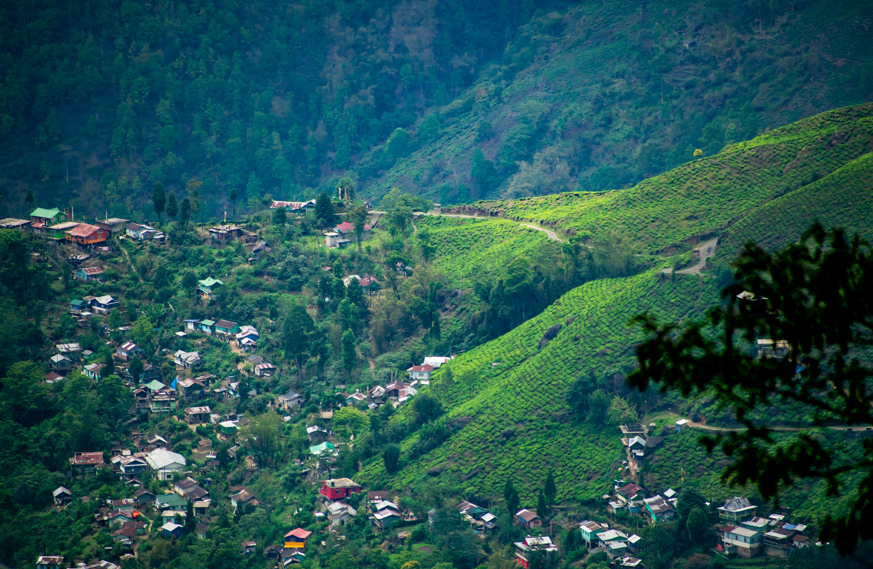 Darjeeling & Mirik Tour - 3 Nights 4 Days
