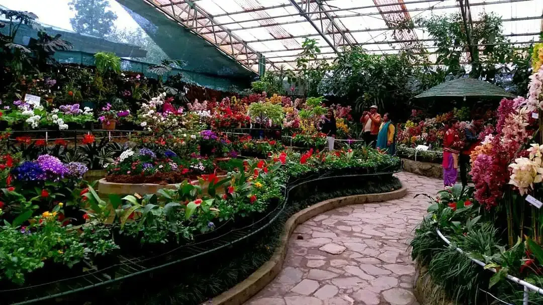 flower show orchid house gangtok city sightseeing