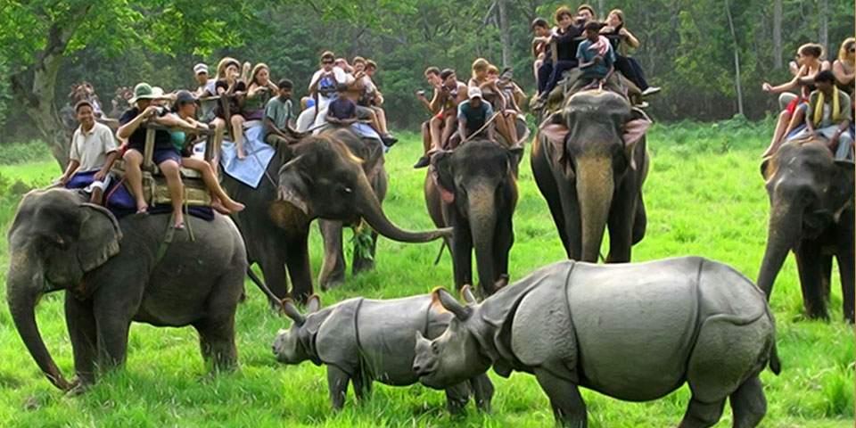 Shillong to Kaziranga - Assam, Meghalaya &amp; Arunachal Pradesh Tour : 10 Nights / 11 Days