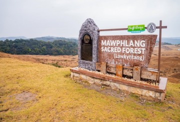 Mawphlang Sacred Forest — Ancient Tribal Sanctuary